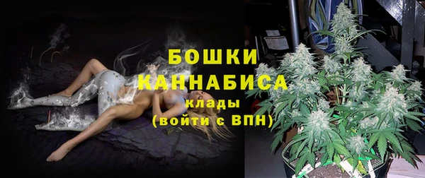spice Магас
