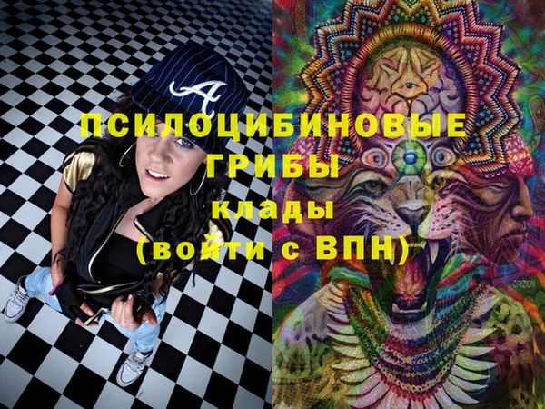 spice Магас